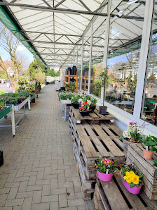 Blumenhof Barkmeyer GmbH