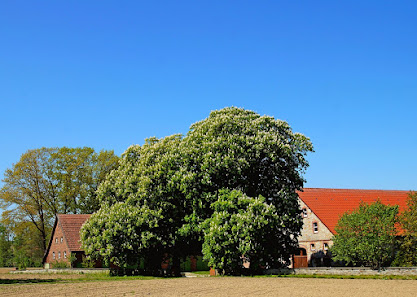 Manfred Außel / Gemke