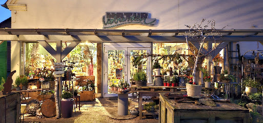 Natur-Verbunden Rödinghausen