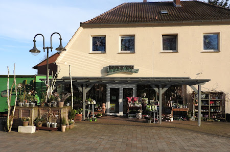 Natur-Verbunden Rödinghausen