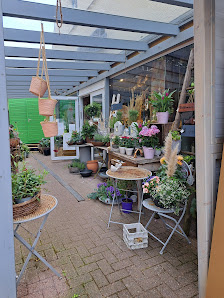 Natur-Verbunden Rödinghausen