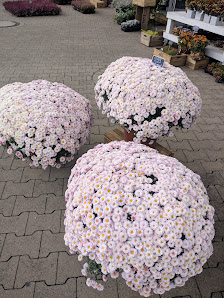 Blumen Interfleur Floristik & Wohnaccessoires