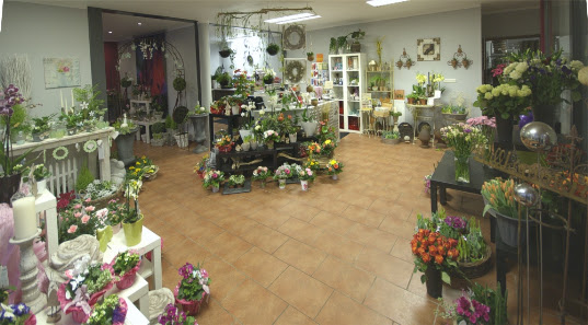Blumen Landfeld