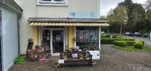 Blumenfachgeschäft Elberg
