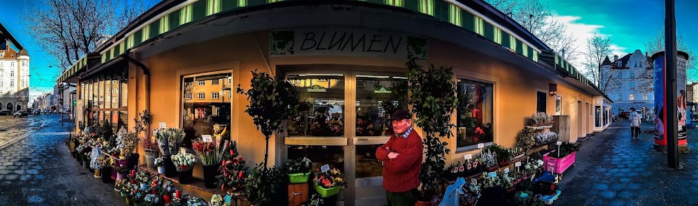 Blumen Schwabing