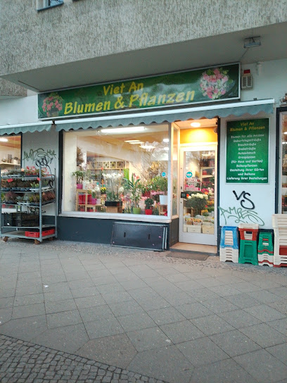 Viet An Blumen & Pflanzen