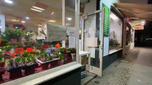 Viet An Blumen & Pflanzen