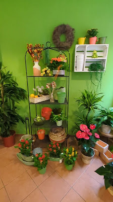 Blumen Hauschildt