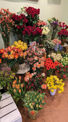 Blumen Hauschildt