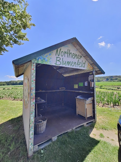 Northener Blumenfeld Hof Kreye