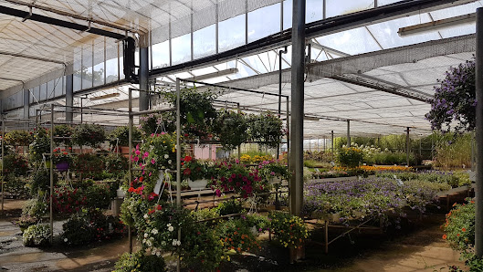 Blumen Bartling
