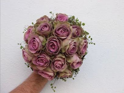 Blumen Rosige Zeiten