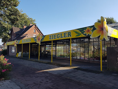 Blumen Ziegler