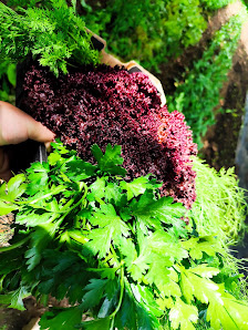 Market Garden Green Carrot Florian Wienhold