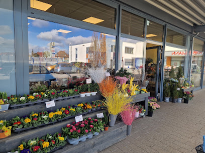 Holland Blumen