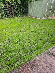 Liptow Gartengestaltung