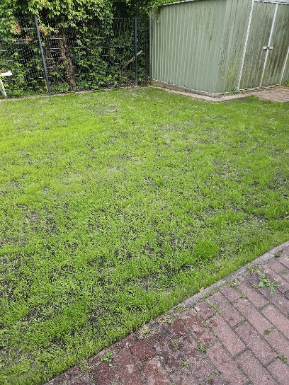 Liptow Gartengestaltung