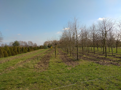 Wedemark