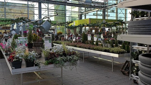 Weingärtner Gartencenter Verden