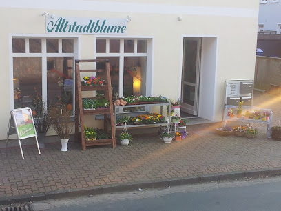 Altstadtblume