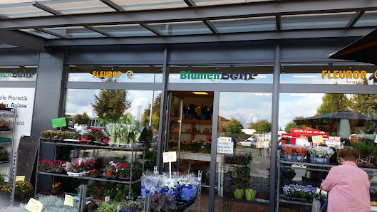Blumen Behr
