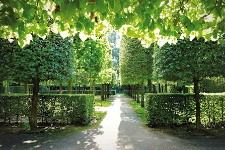 Simon Brockmann: Haus- & Gartenservice | Bremervörde