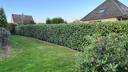 Wurzelwerk Seevetal