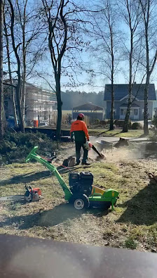 Wurzelwerk Seevetal