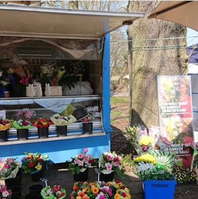 Blumenladen B73 Buxtehude/Ovelgönne