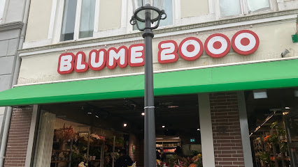 BLUME2000 Buxtehude