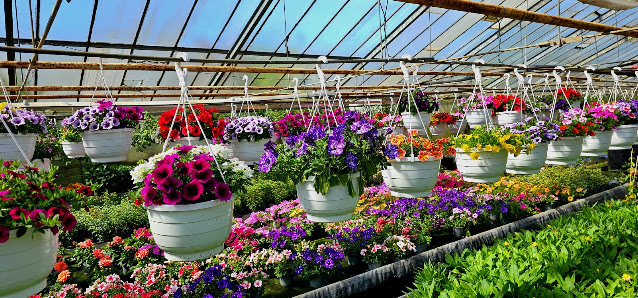 Florawelt Schwarme