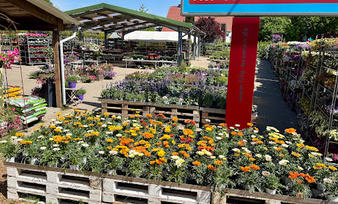 Blumen Röhrs Gartencenter