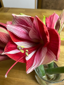 myFlowers Nordring