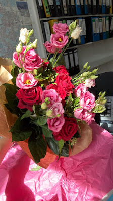 Blumen & Pflanzen Blumenstübchen