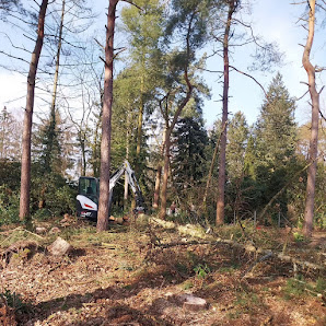 Maurice Junge Garten- und Landschaftsbau