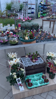 Schrader Gartencenter Hanstedt