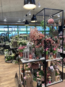 RAISA eG || Raiffeisen-Markt Hollenstedt