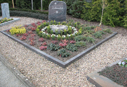 Meyerholz Gartencenter Baumschule Garten- und Landschaftsbau