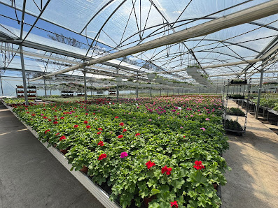 Blumen-Zentrum Hoppe Inh. Raphael Benson