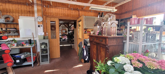 Blumenhof Neubokel - Sträuße, Floristik, Topfpflanzen, Kräuter und Gemüse