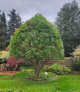 Gartenservice-Beck - Unterstützung bei der Gartenarbeit / Grundstückspflege