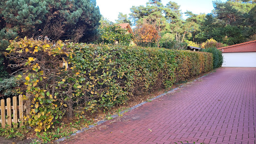 Gartenservice-Beck - Unterstützung bei der Gartenarbeit / Grundstückspflege
