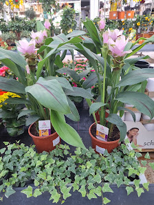 Garten Center