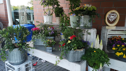 Blumen Kate