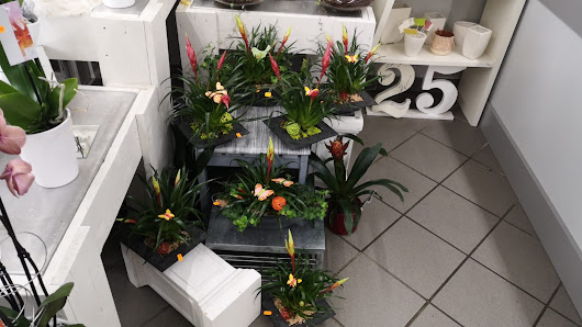 Blumen Kate