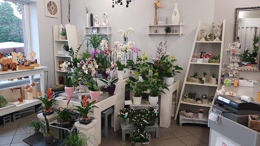 Blumen Kate