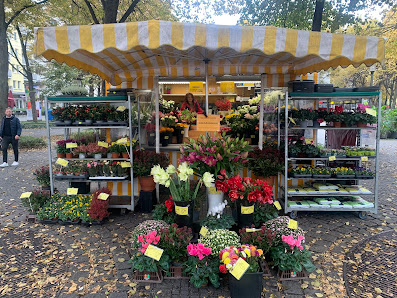 Blumenstand am Hohenzollernplatz