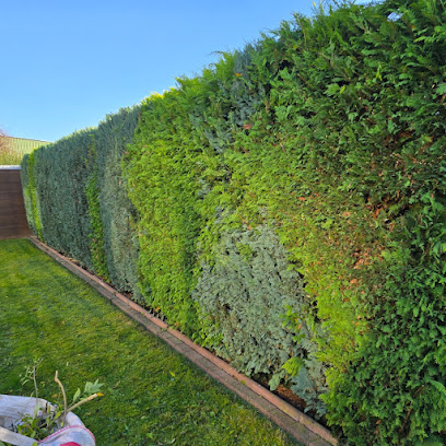 Gartenbau Freytag – Garten- & Landschaftsbau Peine