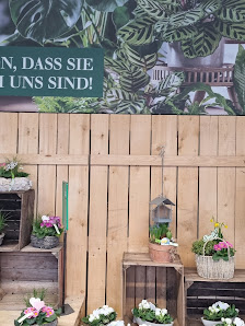 Dehner Garten-Center
