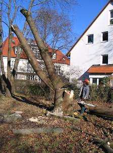 Werner Anderlik Garten- und Landschaftsbau GmbH